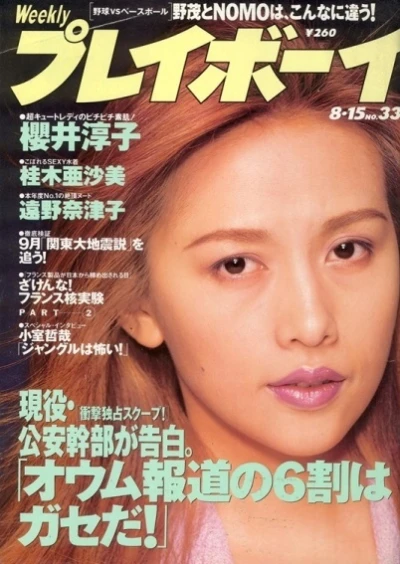 Cover of Volume #199533