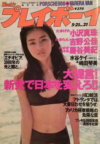 Cover of Volume #199621