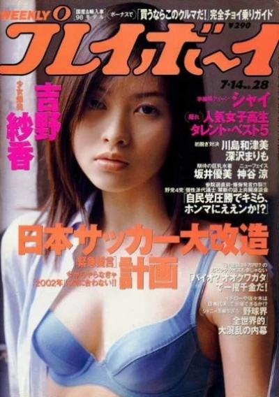 Cover of Volume #199828