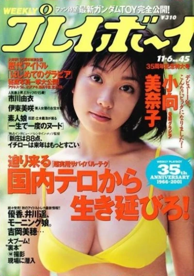 Cover of Volume #200145