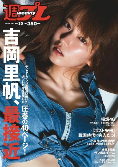 Cover of Volume #201730