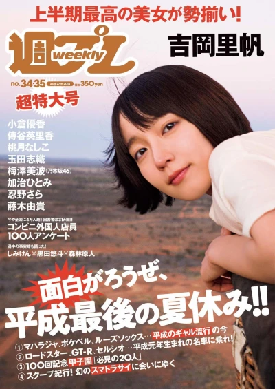 Cover of Volume #201834-35