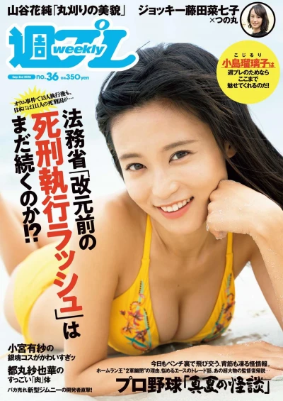 Cover of Volume #201836