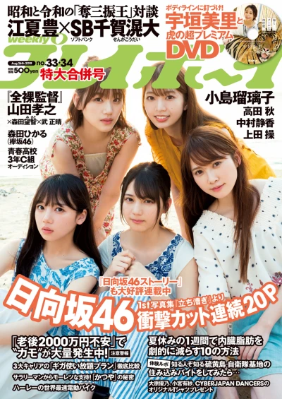 Cover of Volume #201933-34