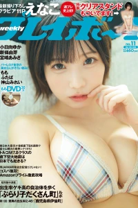 Volume #202311