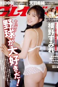 Volume #202315