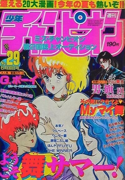Cover of No. 29, 1989