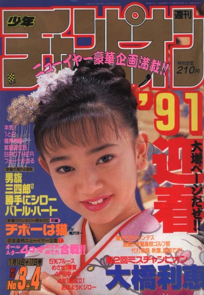 Cover of No. 3-4, 1991