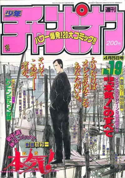 Cover of No. 19, 1991