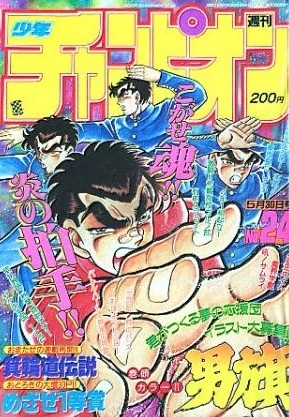 Cover of No. 24, 1991