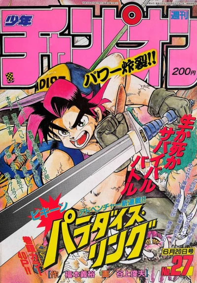 Cover of No. 27, 1991