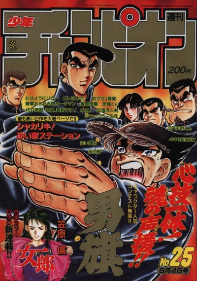 Cover of No. 25, 1992