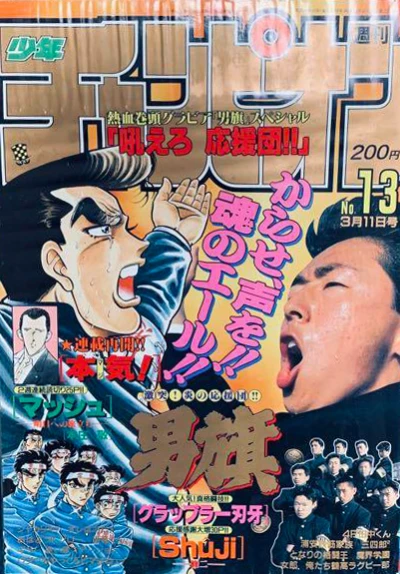 Cover of No. 13, 1993