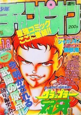 Cover of No. 18, 1993