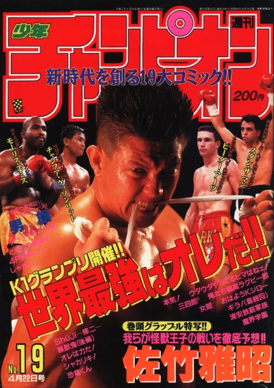 Cover of No. 19, 1993