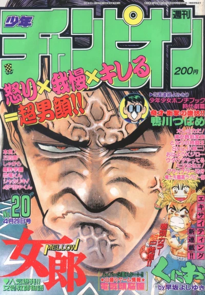 Cover of No. 20, 1993