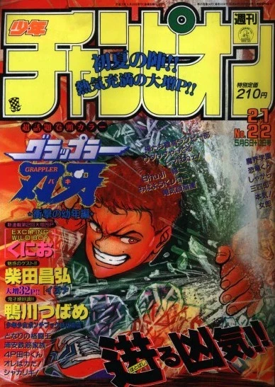 Cover of No. 21-22, 1993