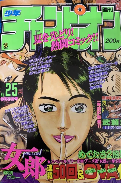 Cover of No. 25, 1993