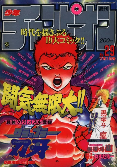 Cover of No. 29, 1993