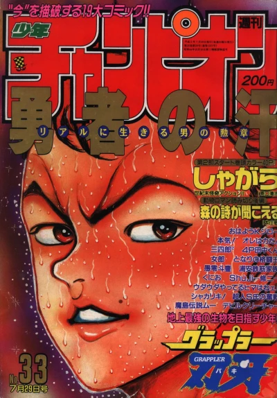 Cover of No. 33, 1993