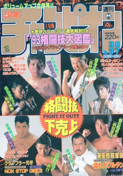 Cover of No. 36-37, 1993