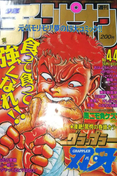 Cover of No. 44, 1993
