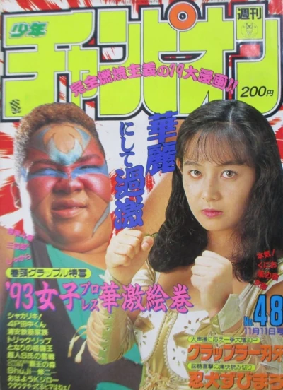 Cover of No. 48, 1993