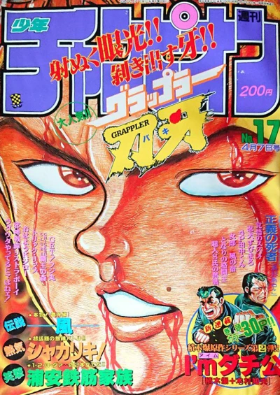 Cover of No. 17, 1994