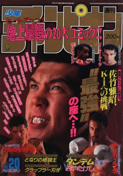 Cover of No. 20, 1994