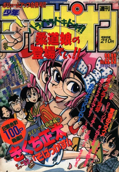 Cover of No. 22-23, 1994