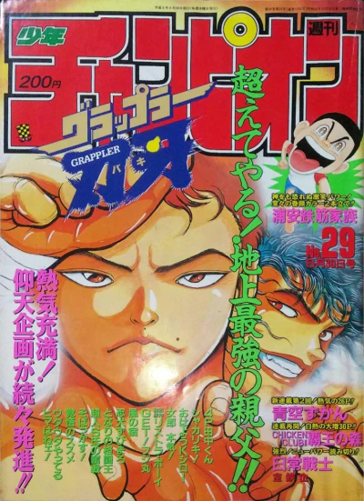 Cover of No. 29, 1994
