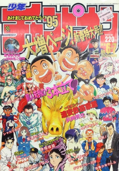 Cover of No. 6-7, 1995