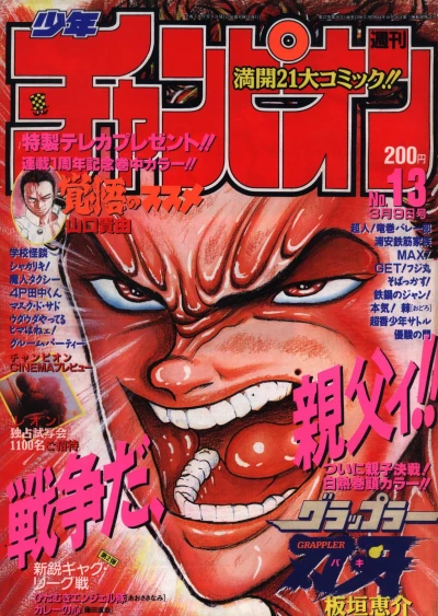 Cover of No. 13, 1995