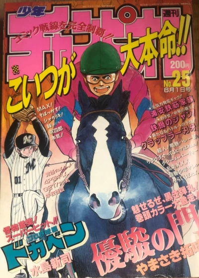 Cover of No. 25, 1995