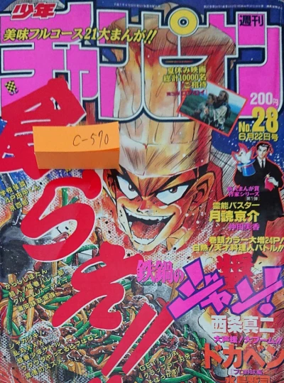 Cover of No. 28, 1995