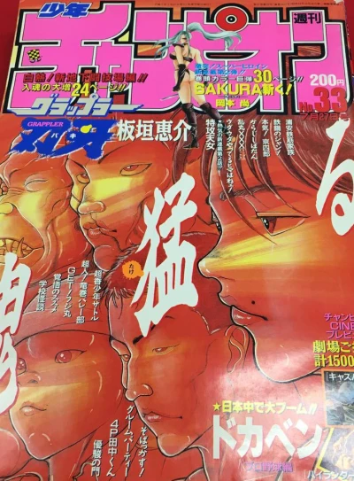 Cover of No. 33, 1995