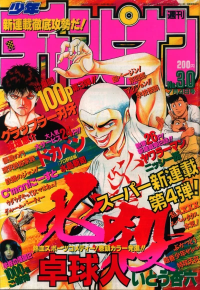 Cover of No. 30, 1996