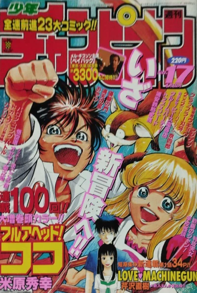 Cover of No. 17, 1999