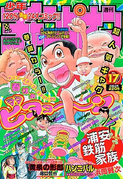 Cover of No. 17, 2001