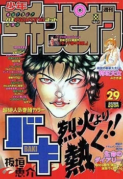 Cover of No. 29, 2001