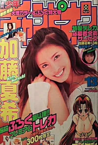 Cover of No. 13, 2003