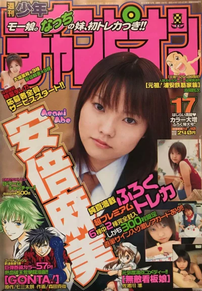 Cover of No. 17, 2003