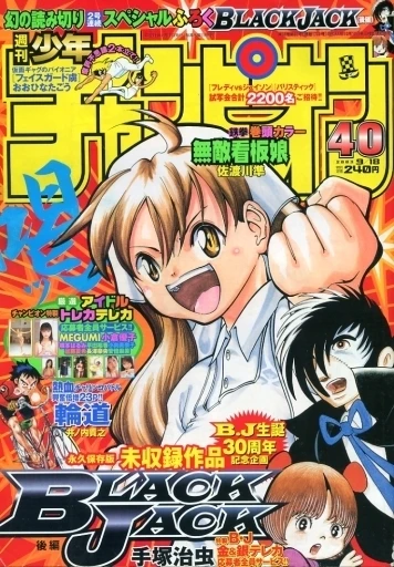 Cover of No. 40, 2003