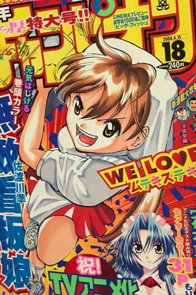 Cover of No. 18, 2004