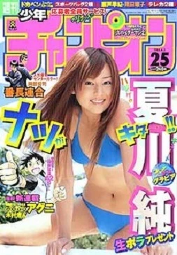 Cover of No. 25, 2004