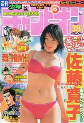 Cover of No. 38, 2004