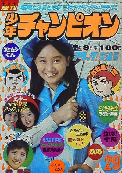 Cover of No. 29, 1973