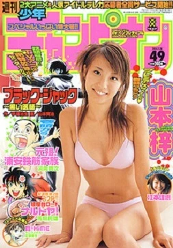 Cover of No. 49, 2004