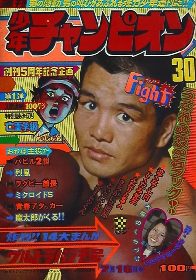 Cover of No. 30, 1973