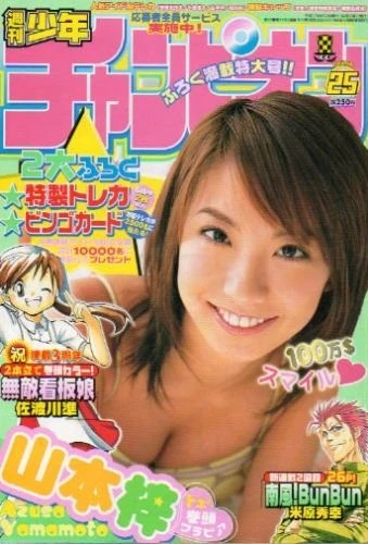 Cover of No. 25, 2005